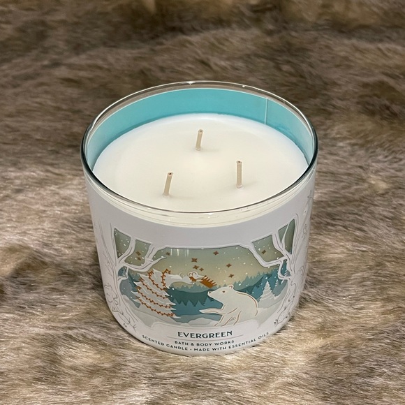 Bath & Body Works Holiday New Bath Body Works Evergreen Large